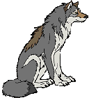 WolvesOfTheNight avatar